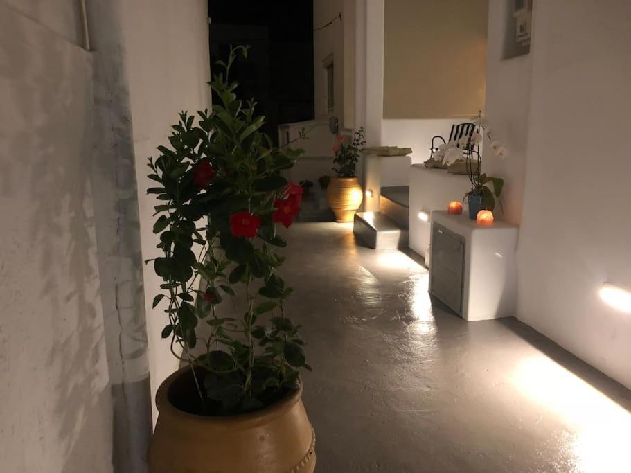 Apartamento Mare Bay Adamantas  Exterior foto